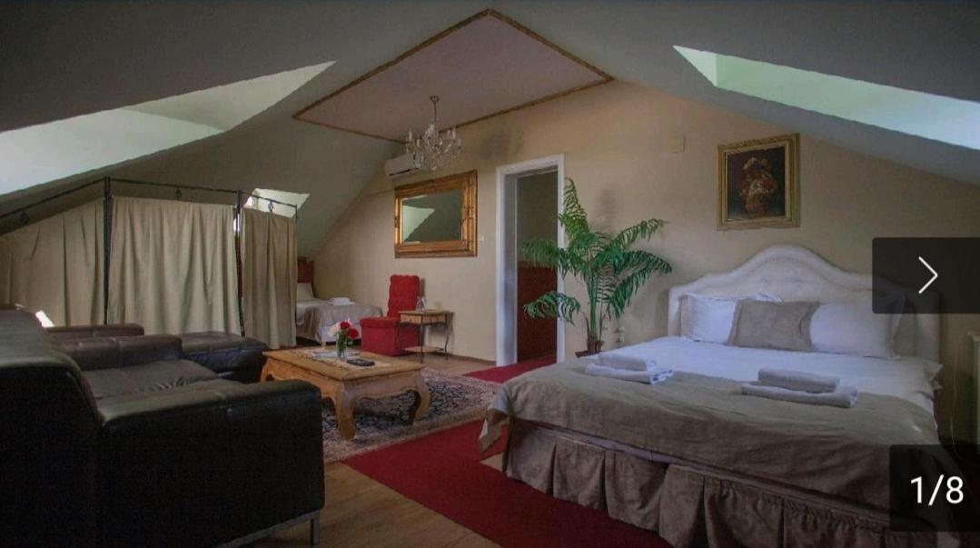 Vila Rococo Βελιγράδι Εξωτερικό φωτογραφία